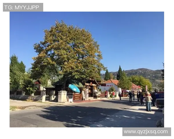 塞尔维亚与黑山对决比分预测及最佳投注建议分析